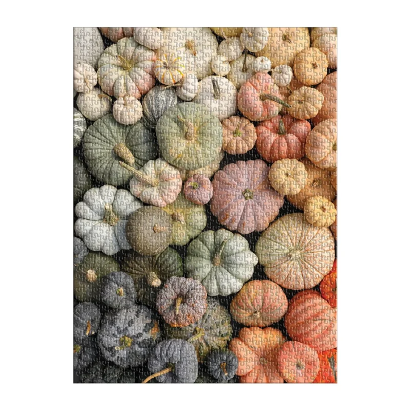 galison heirloom pumpkins 1000 piece jigsaw puzzle by christine chitnis complete jigsaw