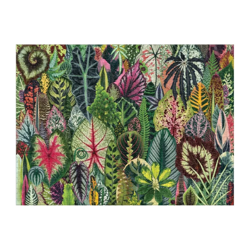 galison houseplant jungle 1000 piece jigsaw puzzle by troy litten completed jigsaw