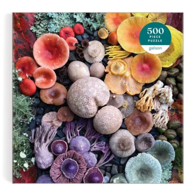 Shrooms in Bloom 500 Piece Puzzle by Heather Brooks